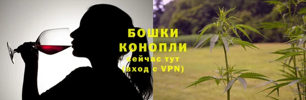 Альфа ПВП Ельня