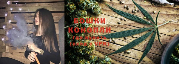 Альфа ПВП Ельня