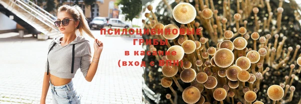 герыч Елизово