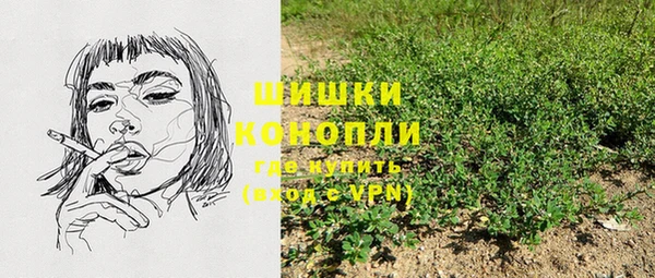 Альфа ПВП Ельня